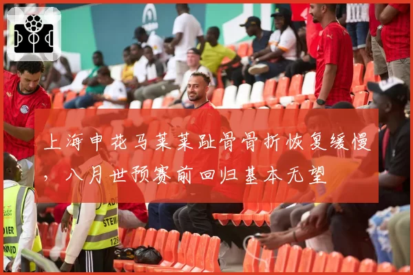 上海申花马莱莱趾骨骨折恢复缓慢，八月世预赛前回归基本无望