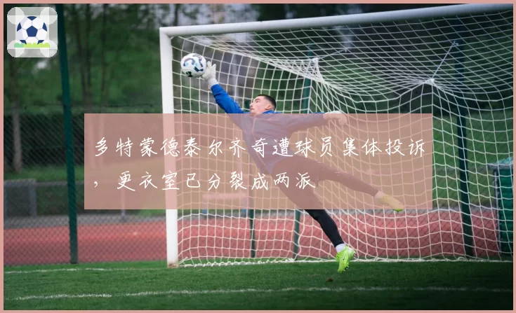 多特蒙德泰尔齐奇遭球员集体投诉，更衣室已分裂成两派
