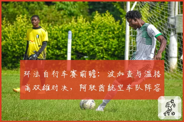 环法自行车赛前瞻:波加查与温格高双雄对决,阿联酋航空车队阵容占优